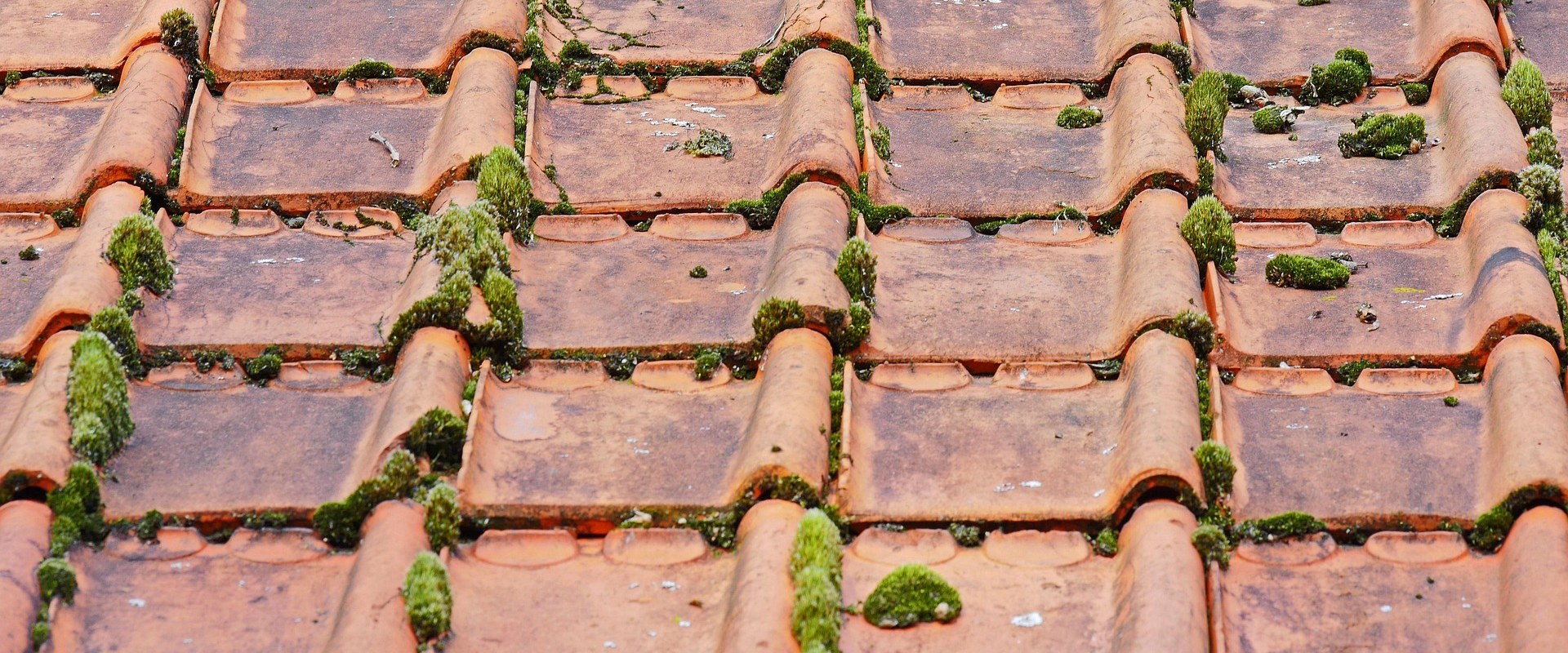 Discover the Benefits of Metal Roofing for Your Home