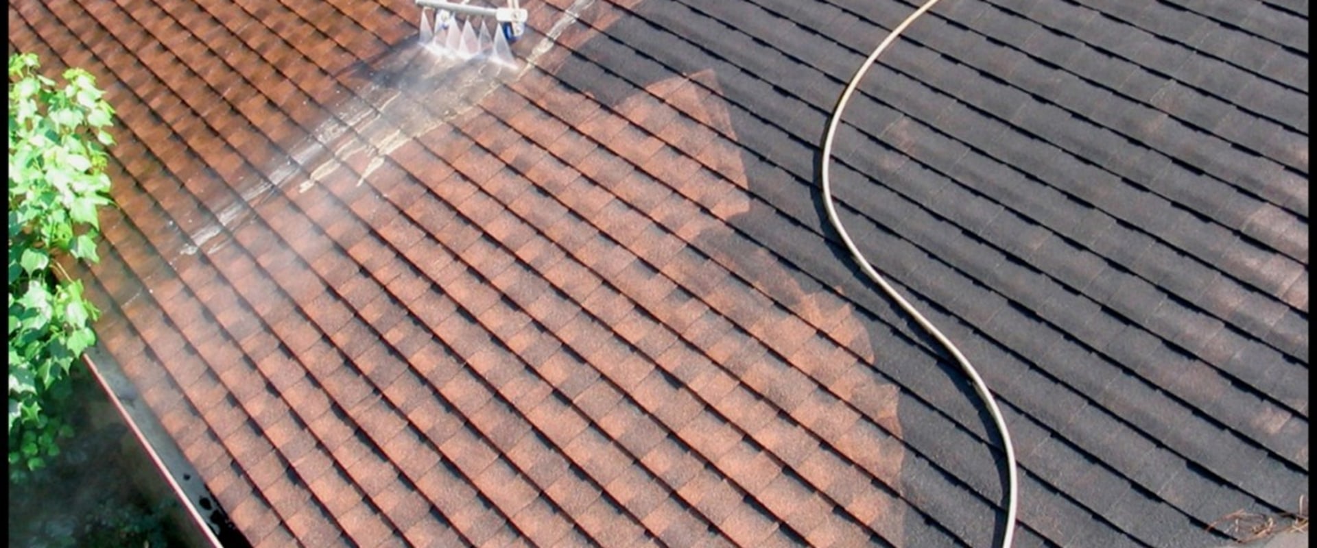 How Algae and Mold Growth Can Lead to Hidden Moisture Problems on Metal Roofs