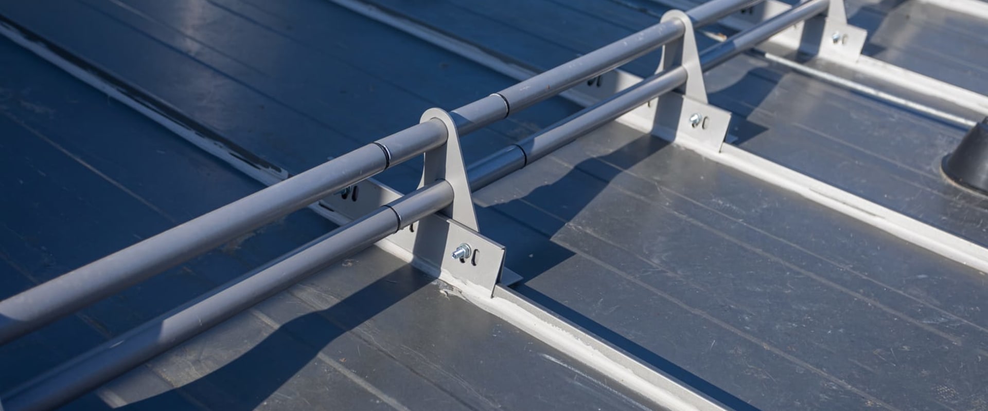 The Importance Of Mold Removal In Metal Roof In New Orleans: Protecting Your Home And Health