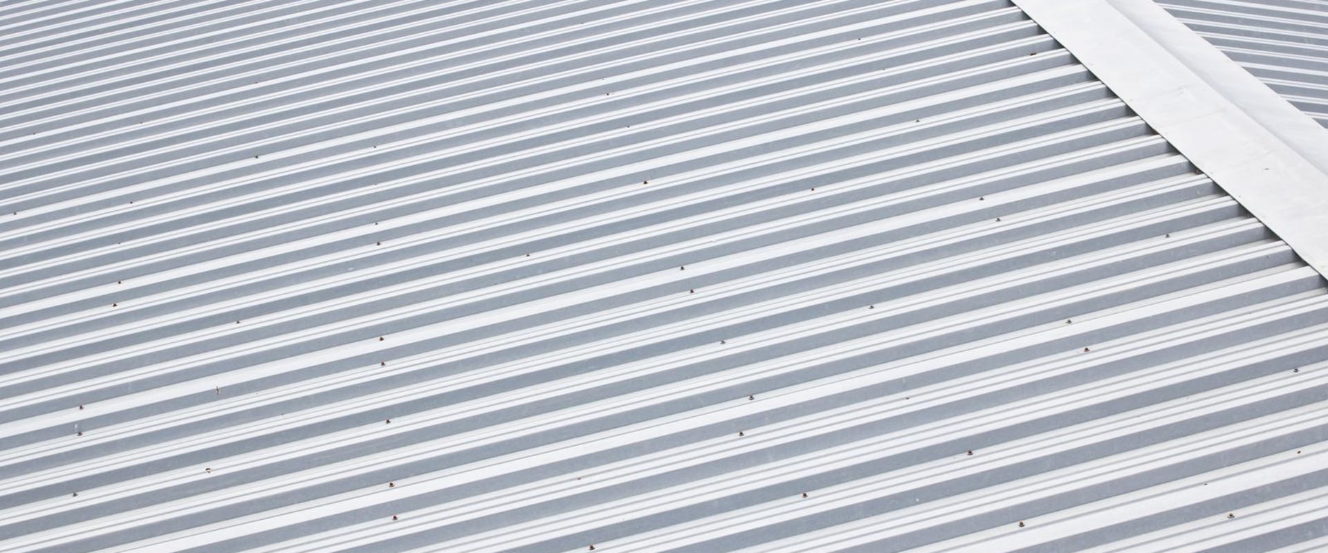 Transform Your Lake Macquarie Home With Stylish And Sustainable Metal Roofing