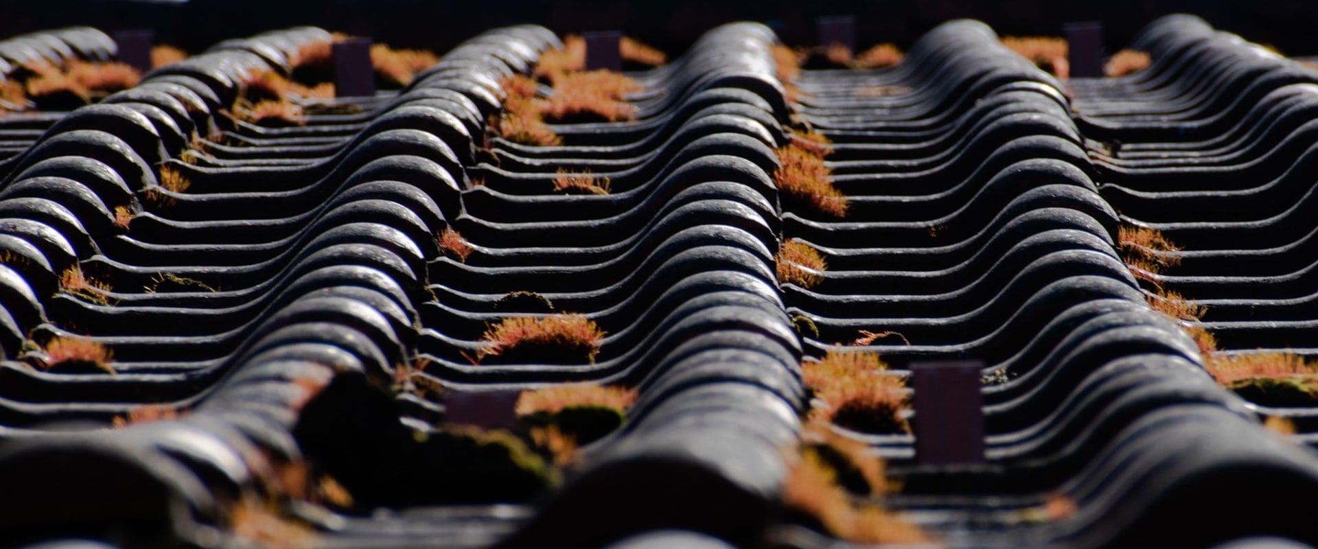 Discover the Advantages of Metal Roofing in Bozeman