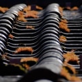 Discover the Advantages of Metal Roofing in Bozeman